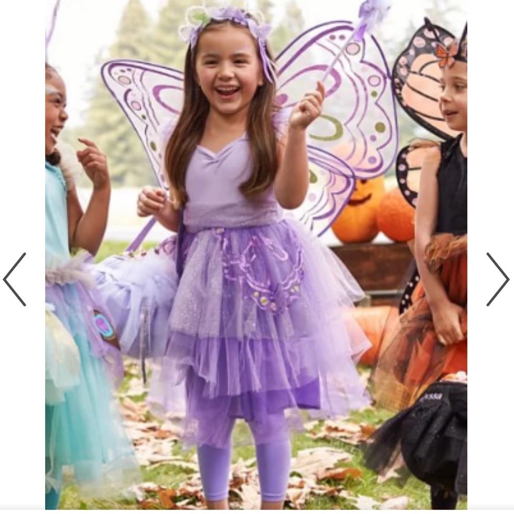 COPY - Pottery Barn Kids butterfly costune